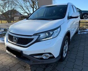 Honda CR-V Gebrauchtwagen