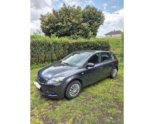 Kia ceed / Ceed Gebrauchtwagen