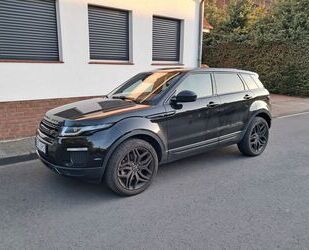 Land Rover Range Rover Evoque Gebrauchtwagen