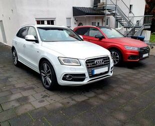 Audi SQ5 Gebrauchtwagen