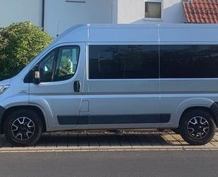 Fiat Ducato Gebrauchtwagen