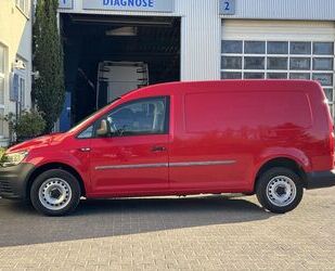VW Caddy Maxi Gebrauchtwagen