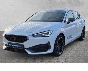 Cupra Leon Gebrauchtwagen