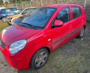 Kia Picanto Gebrauchtwagen
