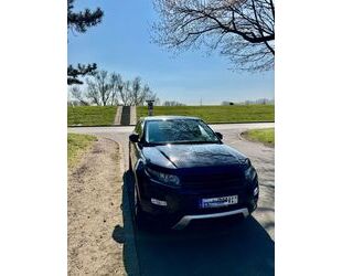 Land Rover Range Rover Evoque Gebrauchtwagen
