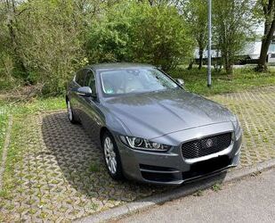 Jaguar XE Gebrauchtwagen