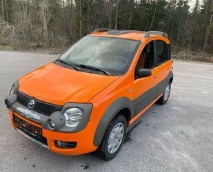 Fiat Panda Gebrauchtwagen