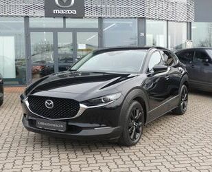 Mazda CX-30 Gebrauchtwagen