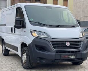 Fiat Ducato Gebrauchtwagen