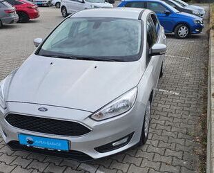 Ford Focus Gebrauchtwagen