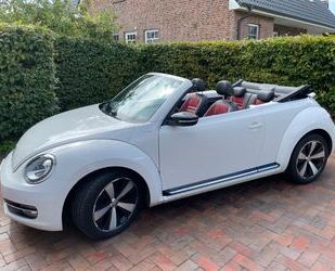 VW Beetle Gebrauchtwagen
