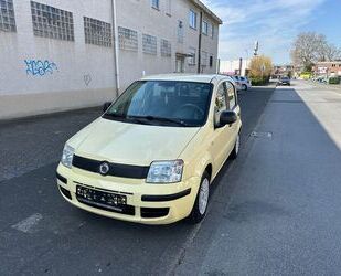 Fiat Panda Gebrauchtwagen