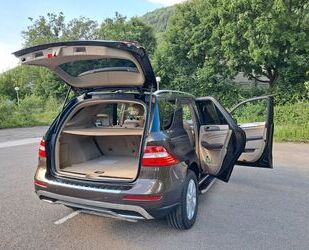 Mercedes-Benz ML 250 Gebrauchtwagen