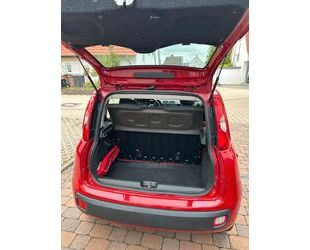 Fiat New Panda Gebrauchtwagen