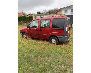 Fiat Doblo Gebrauchtwagen