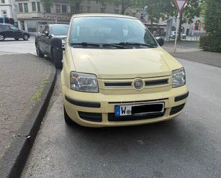 Fiat Panda Gebrauchtwagen