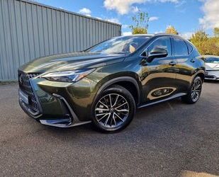 Lexus NX 450h Gebrauchtwagen