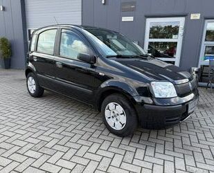 Fiat Panda Gebrauchtwagen