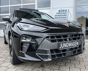 Cupra Terramar Gebrauchtwagen