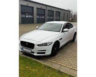 Jaguar XE Gebrauchtwagen