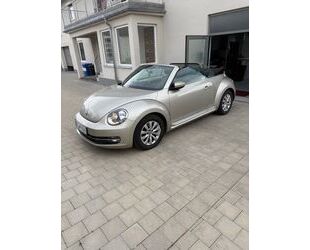 Ferrari Beetle 