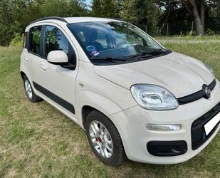 Fiat Panda Gebrauchtwagen