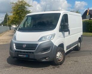 Fiat Ducato Gebrauchtwagen