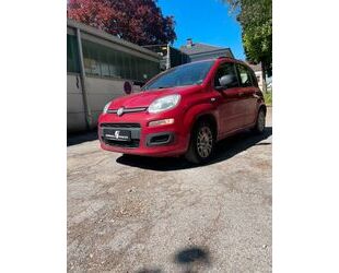 Fiat Panda Gebrauchtwagen