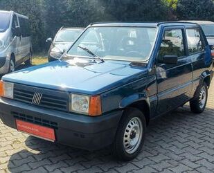 Fiat Panda Gebrauchtwagen