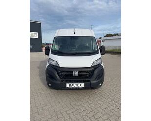 Fiat Ducato Gebrauchtwagen