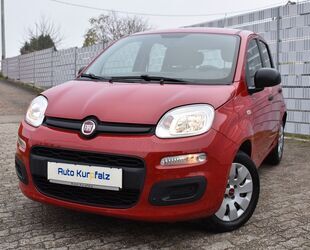 Fiat Panda Gebrauchtwagen