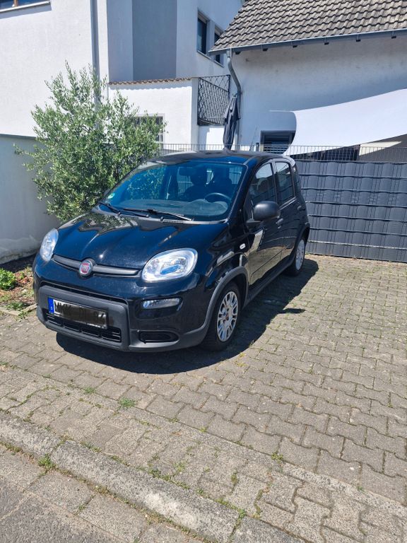 Bild 1