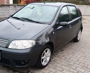 Fiat Punto Gebrauchtwagen