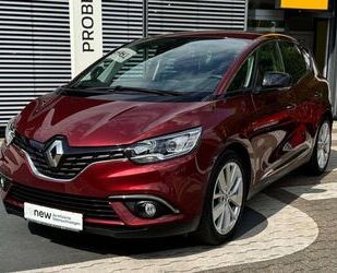 Renault Scenic Gebrauchtwagen