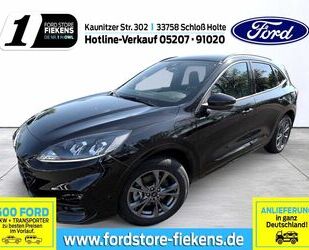 Ford Kuga Gebrauchtwagen