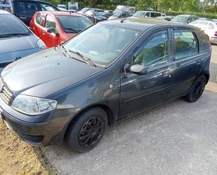 Fiat Punto Gebrauchtwagen