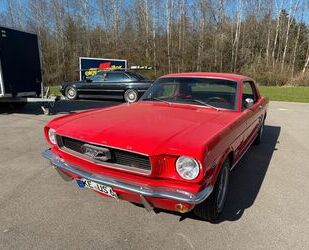 Ford Mustang Gebrauchtwagen