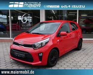 Kia Picanto Gebrauchtwagen