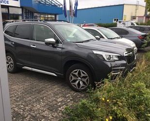 Subaru Forester Gebrauchtwagen