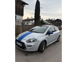 Fiat Punto Evo Gebrauchtwagen