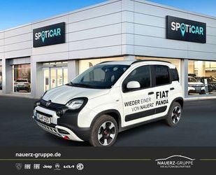 Fiat Panda Gebrauchtwagen