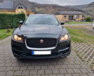 Jaguar F-Pace Gebrauchtwagen