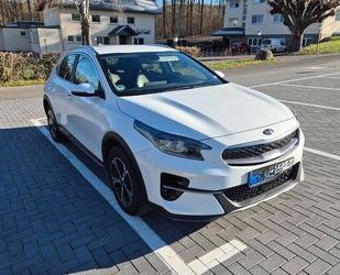 Kia XCeed Gebrauchtwagen