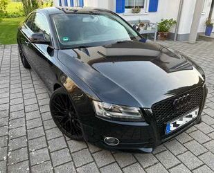 Audi A5 Gebrauchtwagen