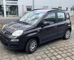 Fiat Panda Gebrauchtwagen