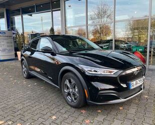 Ford Mustang Mach-E Gebrauchtwagen