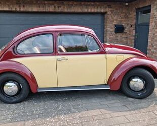VW Käfer Gebrauchtwagen