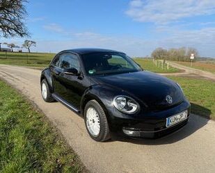 VW Beetle Gebrauchtwagen