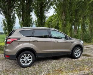 Ford Kuga Gebrauchtwagen