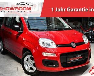 Fiat Panda Gebrauchtwagen